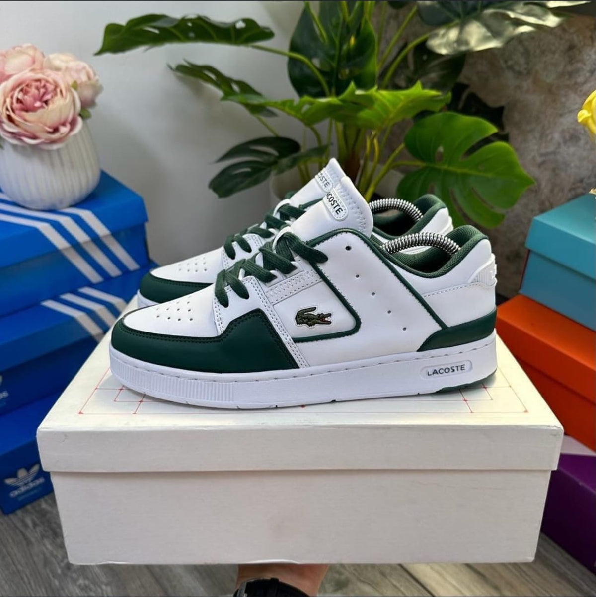 LACOSTE SNEAKERS